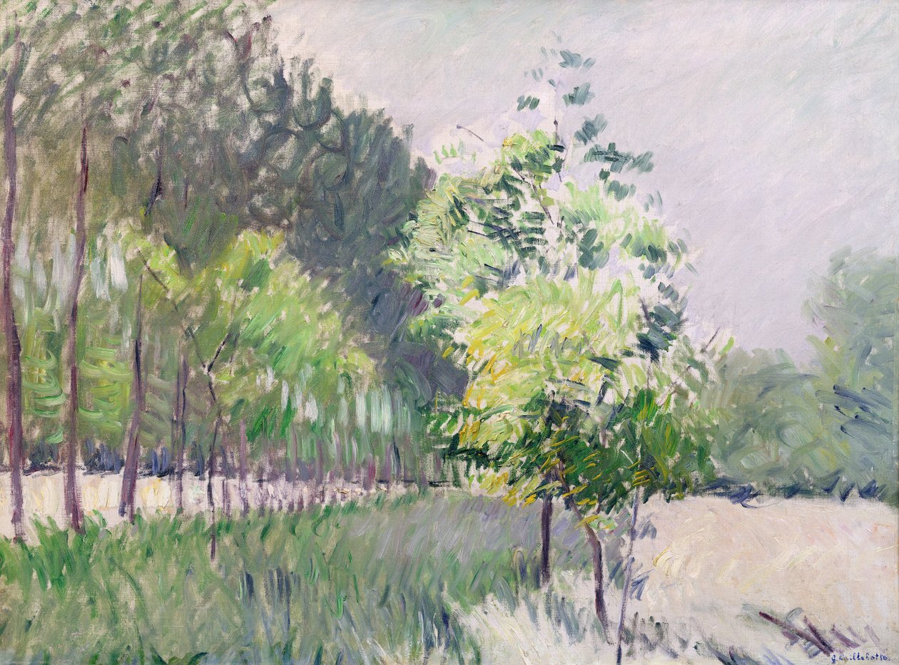 Pomar e avenida de árvores de Gustave Caillebotte