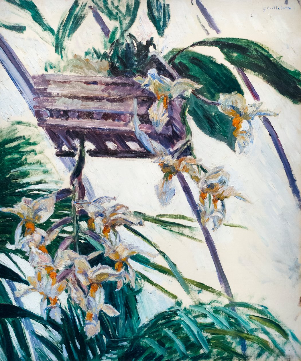 Orquídeas, c. 1893 (óleo sobre tela) de Gustave Caillebotte