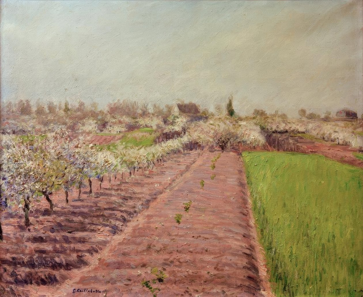 Macieiras em flor, encosta de Colombes de Gustave Caillebotte