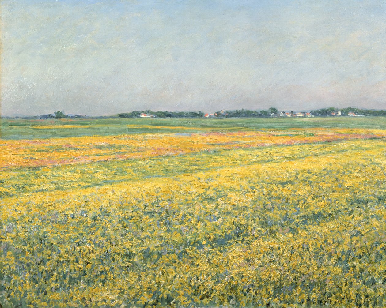 A planície de Gennevilliers, campos amarelos; A planície de Gennevilliers, campos amarelos, 1884 de Gustave Caillebotte