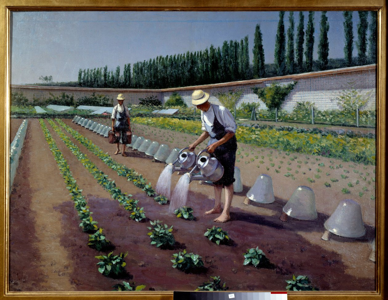 Os jardineiros. Dois homens com os seus regadores irrigam a sua plantação. Perto deles, sinos de vidro usados para cobrir as plantações. Pintura de Gustave Caillebotte (1848-1894) de Gustave Caillebotte