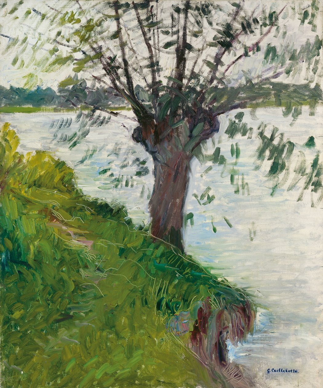 Salgueiro pelo rio; Saule au Bord de la Riviere, c. 1891 de Gustave Caillebotte