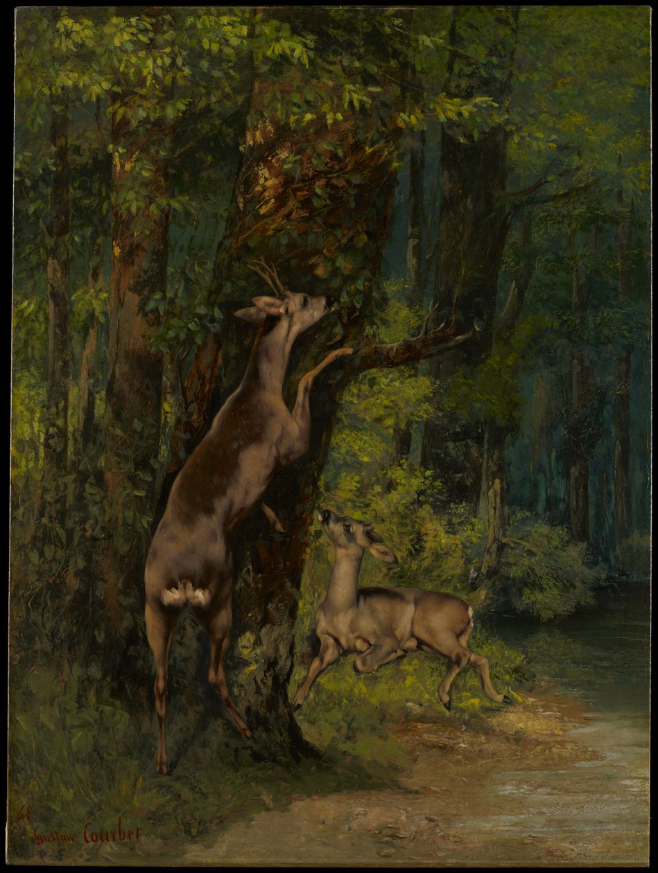 Veados na floresta de Gustave Courbet