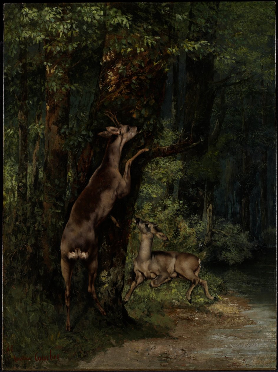Veado na Floresta de Gustave Courbet