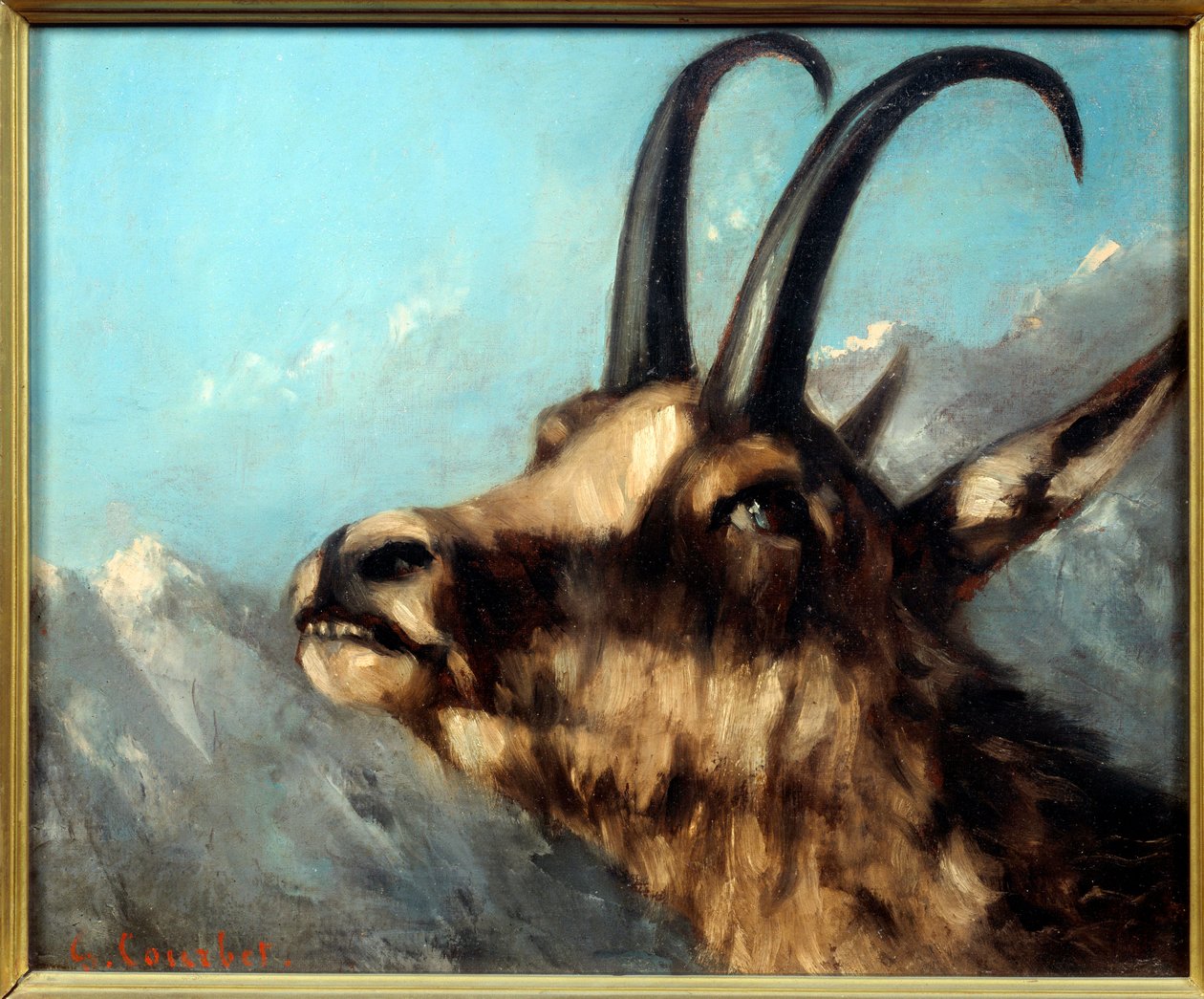 Cabeça de camurça pintura por Gustave Courbet de Gustave Courbet