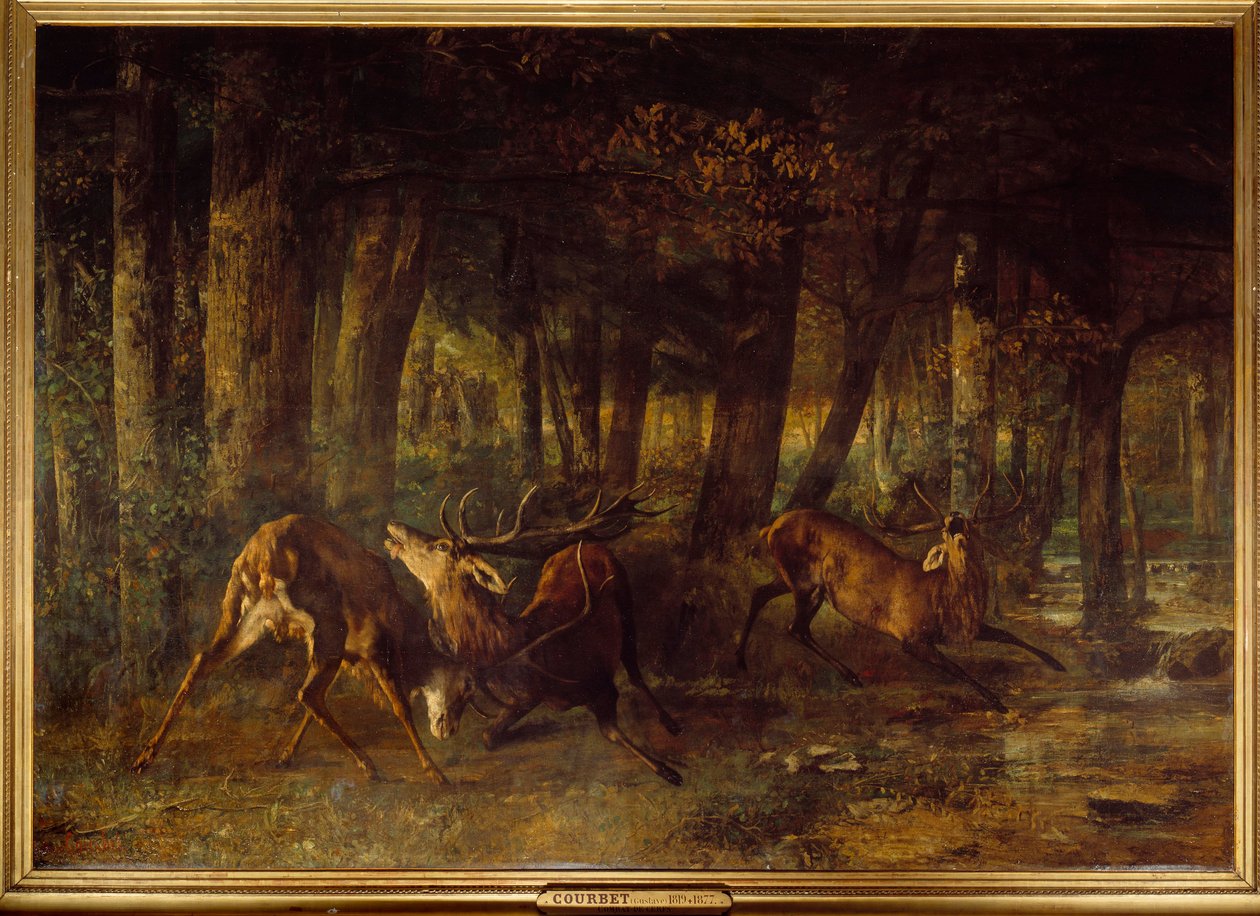 Cio da Primavera, luta de veados. Pintura de Gustave Courbet (1819-1877) de Gustave Courbet