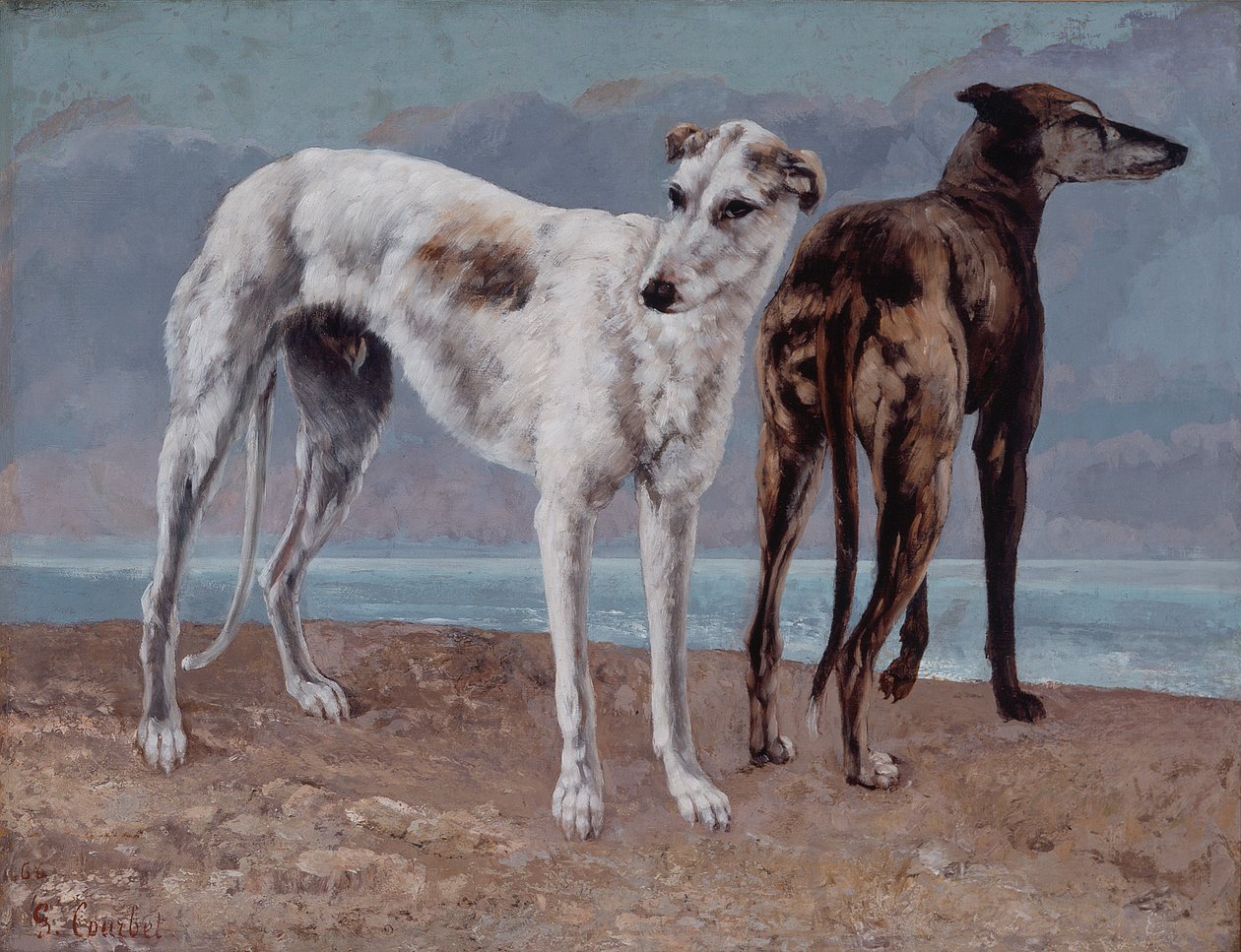 Os galgos do conde de Choiseul de Gustave Courbet