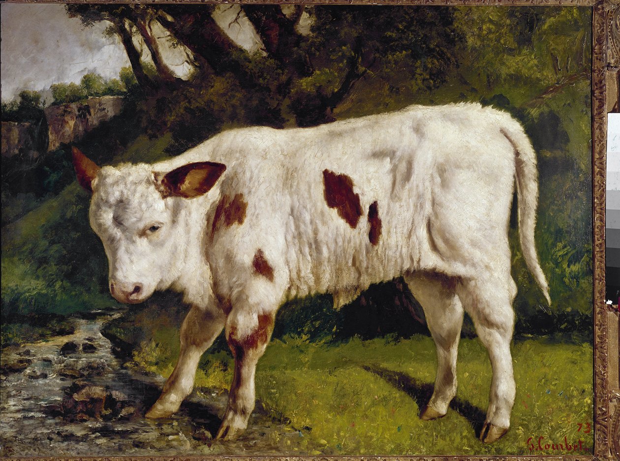 O bezerro de Gustave Courbet