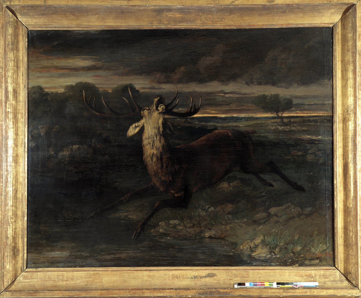O veado tem água (caçando uma corrida) diz a força do veado (óleo sobre tela) de Gustave Courbet