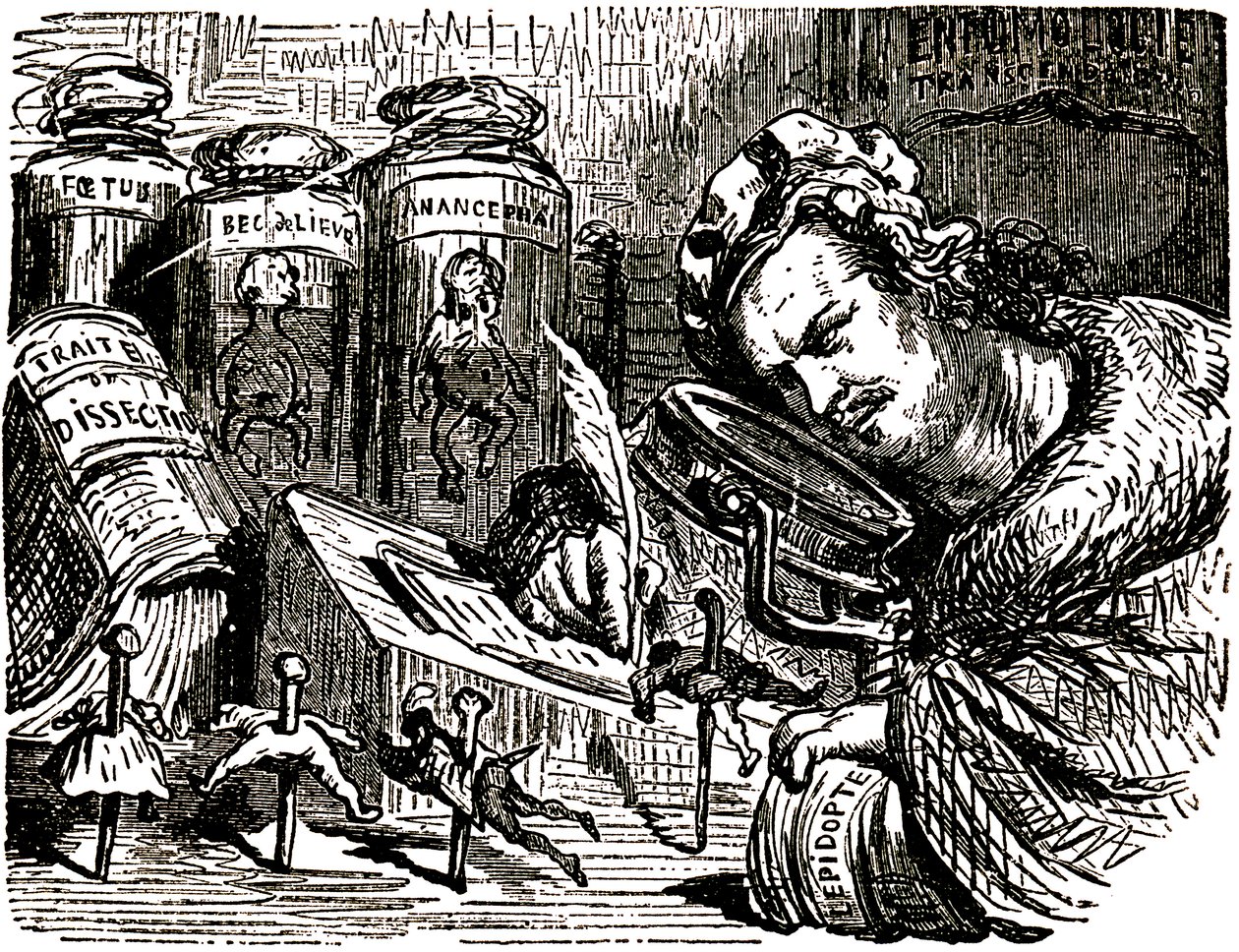 Cartoon de Honore de Balzac (1799-1850) por Gustave Dore (1832-1883) para os Tales Drolatiques (1855): o escritor é croque como um entomologista que estuda os seres humanos como insectos no seu gabinete cheio de rascunhos de entomologia e dissecação, bem c de Gustave Dore