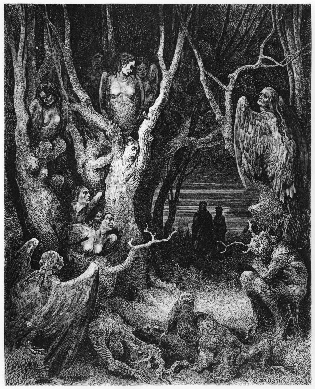 Harpias, ilustração de &39;A Divina Comédia&39; (Inferno) de Dante Alighieri (1265-1321) Paris, publicada em 1885 de Gustave Dore