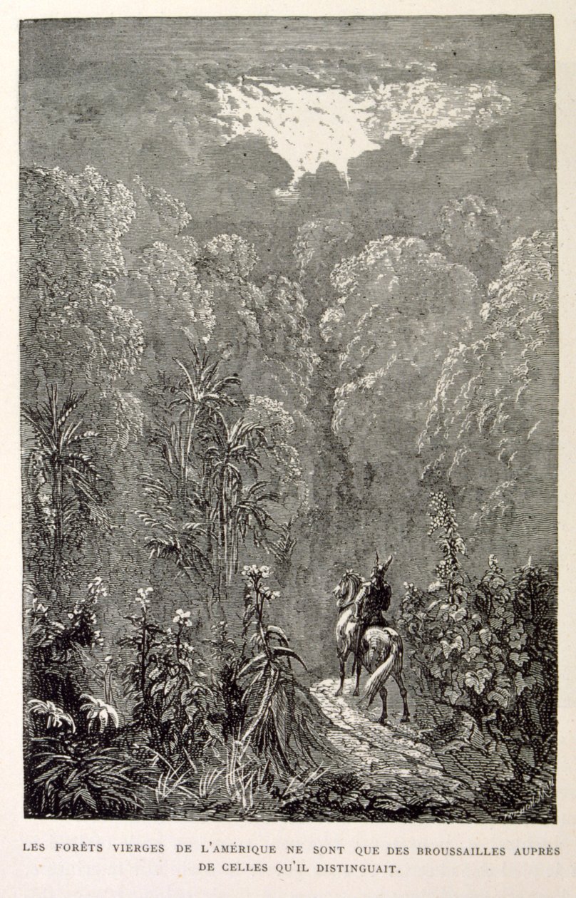 Ilustração de uma floresta americana. de La legende de Croque-Mitaine. de Gustave Dore