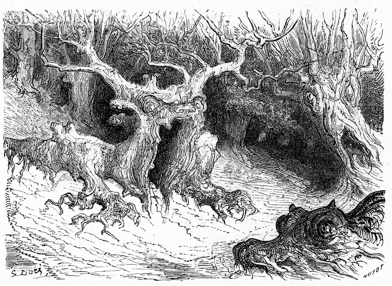 Faia monstruosa no vale de Ossau, árvores monstruosas antropomórficas. Gravura de Gustave Dore ilustrando o livro "Voyage aux Pyrenees d