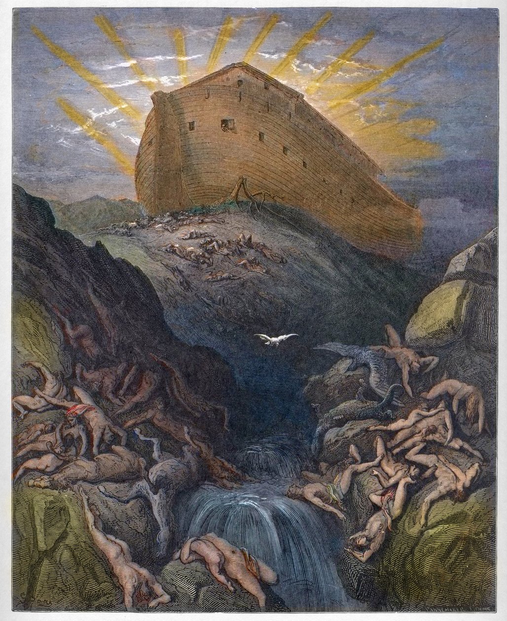 Arca de Noé - A Pomba Enviada da Arca - A Pomba Enviada da Arca de Noé - Gravura da "Ilustração Bíblica" de Gustave Dore (1832-1883) - Gravura da "Ilustração Bíblica" de Gustave Dore de Gustave Dore