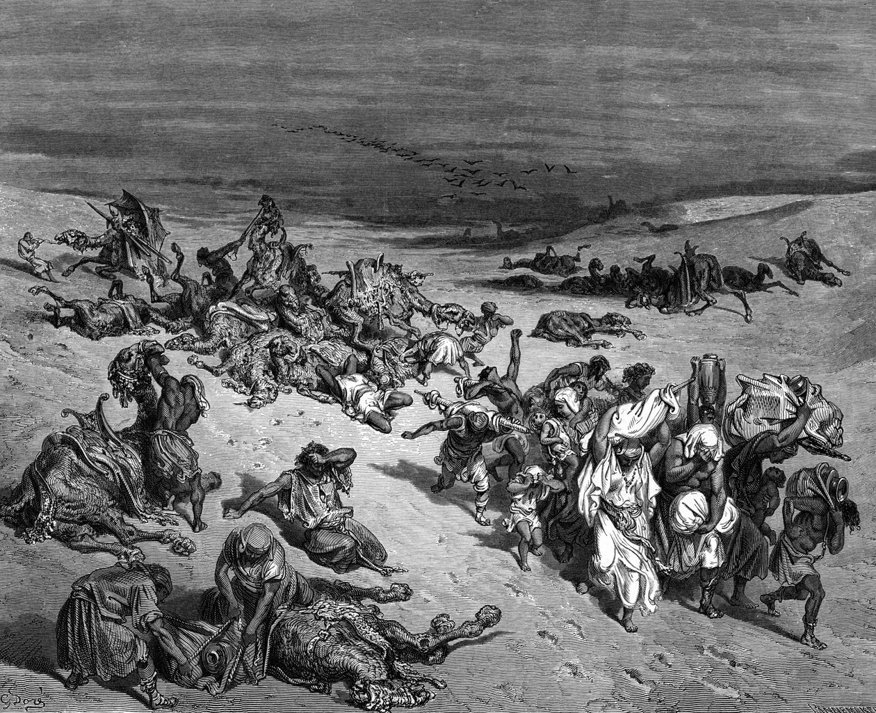 "Pestilência", uma das sete pragas do Egipto: Êxodo. Ilustração de Gustave Dore (1832-1883), pintor francês e ilustrador de livros para The Bible (Londres, 1866). Gravura em madeira. de Gustave Dore