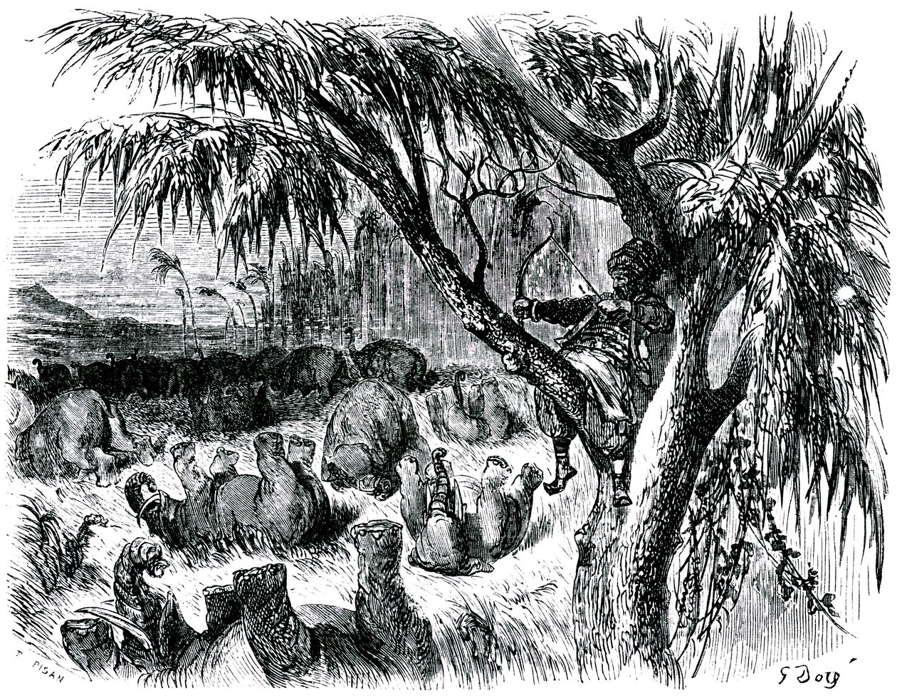 Sindbad, o marinheiro (Sinbad) - conto das mil e uma (1001) noites - ilustração de Gustave Dore - edição Maxwell 1865 - Sétima viagem: Sindbad, empoleirado numa árvore, puxa com o seu arco sobre elefantes de Gustave Dore