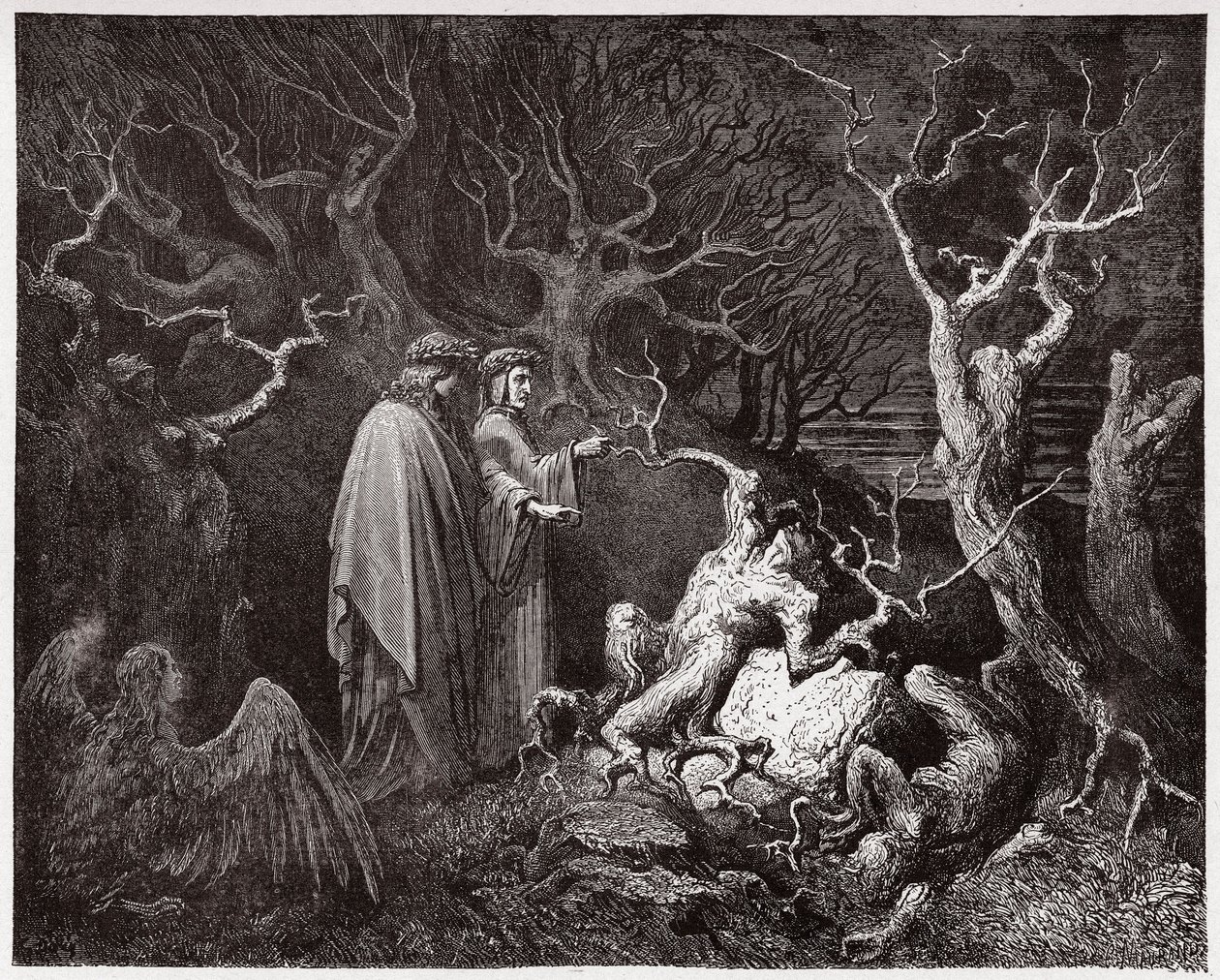 A Divina Comédia (La Divina Commedia, La Divina Comédia), Inferno, Canto 13: Os suicídios na floresta - por Dante Alighieri (1265-1321) - Ilustração de Gustave Dore (1832-1883) de Gustave Dore