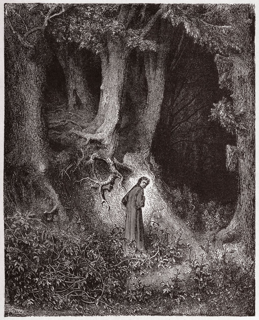 A Divina Comédia (La Divina Commedia, La Divina Comédia), Inferno, Canto 1: Dante no bosque selvagem - por Dante Alighieri (1265-1321) - Ilustração de Gustave Dore (1832-1883) de Gustave Dore