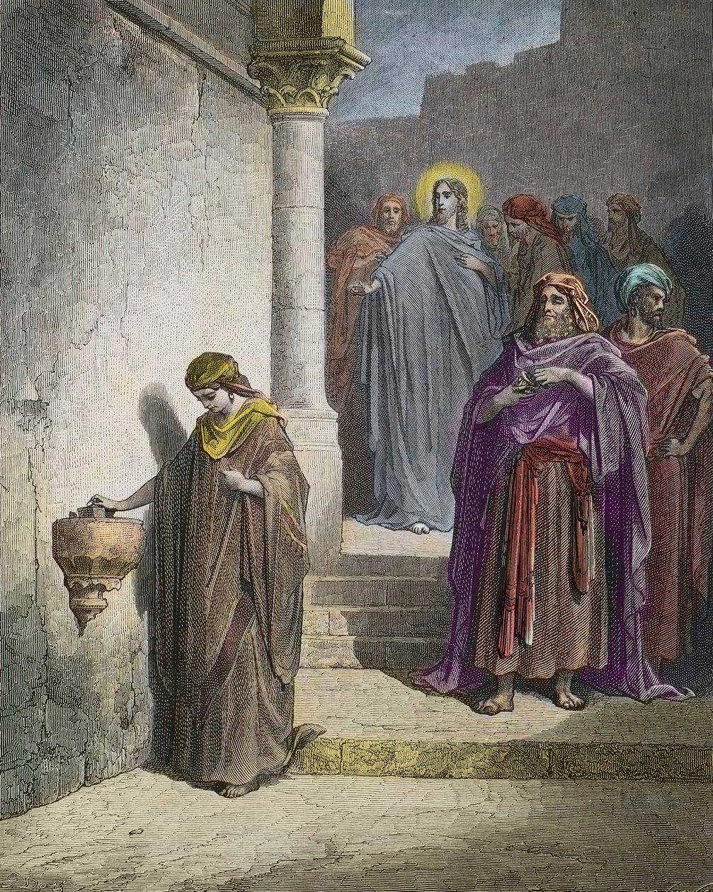 The Widow