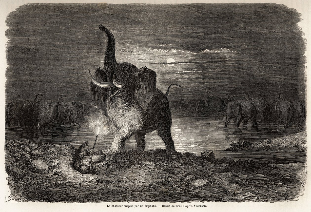 O caçador surpreendido por um elefante, perto do Lago Ngami (Botsuana), desenho de Gustave dore (1832-1883), para ilustrar as aventuras e caçadas de Charles Jean Anderson na África Austral. Gravura em "Le tour du monde, nouveau journal des voyages" Paris de Gustave Dore