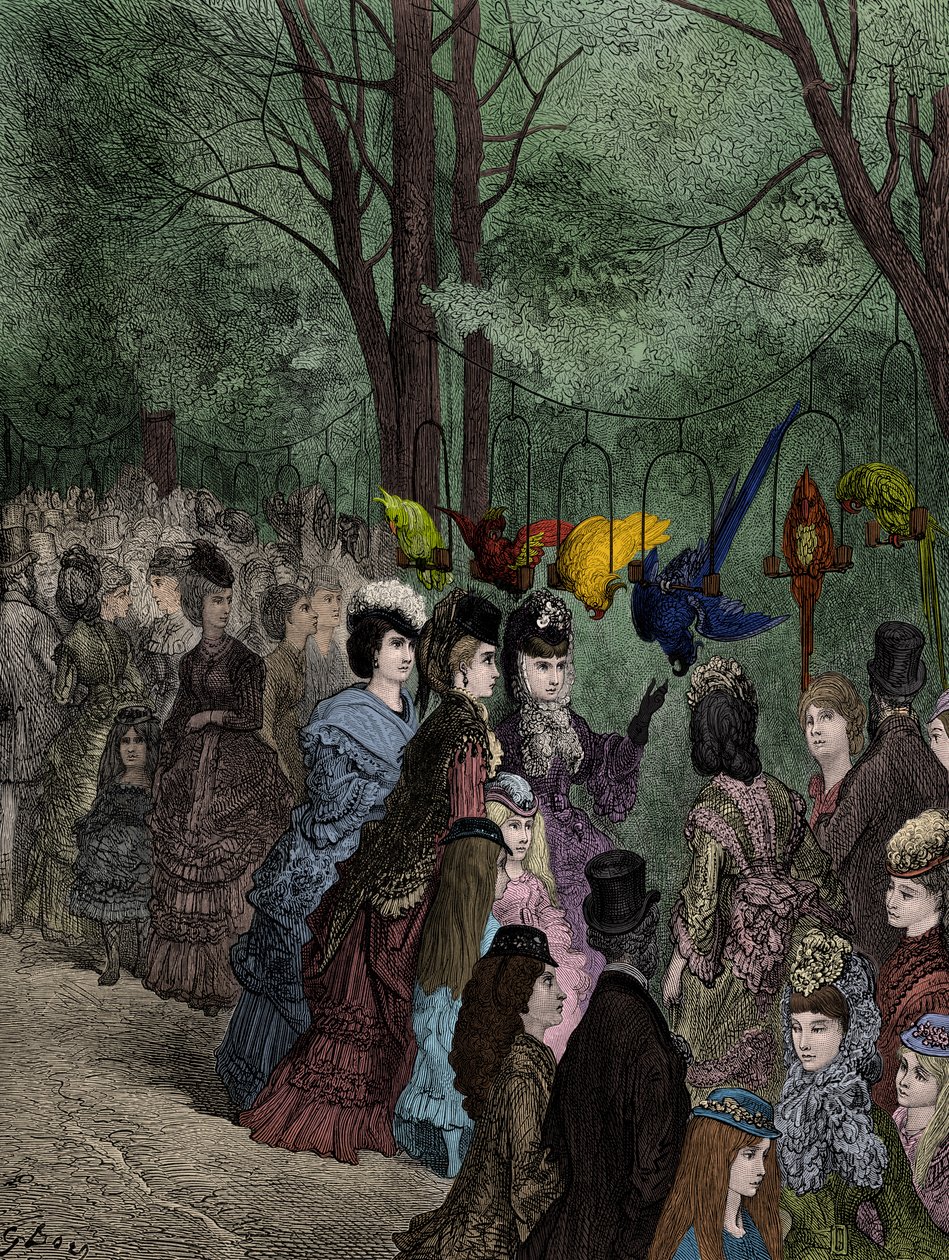 O papagaio andar em um zoológico vitoriano de Londres por Doré de Gustave Dore