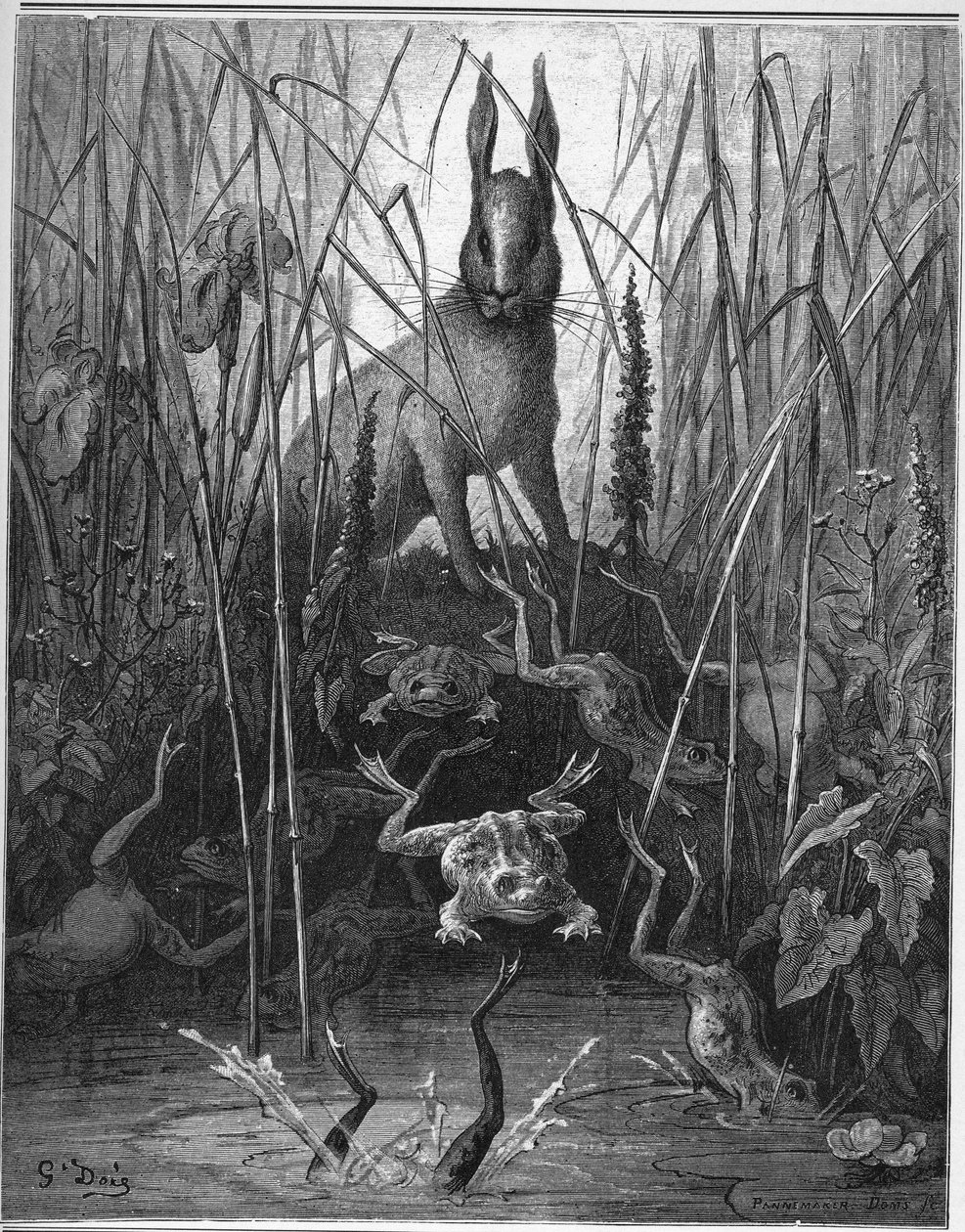 a lebre e o sapo - The Hares and the Frogs - de "Fables" de Jean de La Fontaine de Gustave Dore