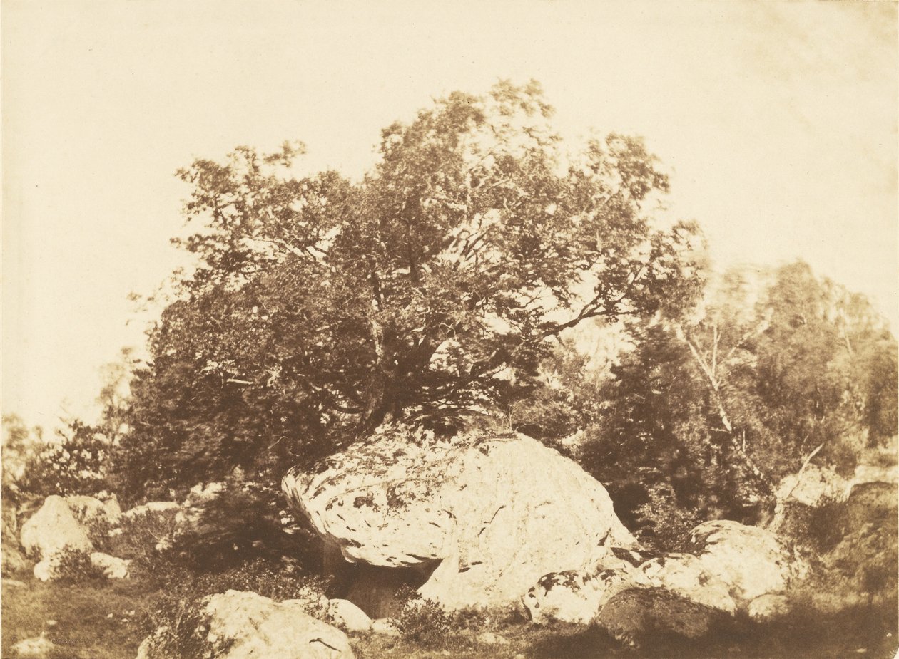 Pedregulho em Cabat, cruzamento de Epine Floresta de Fontainebleau de Gustave Le Gray