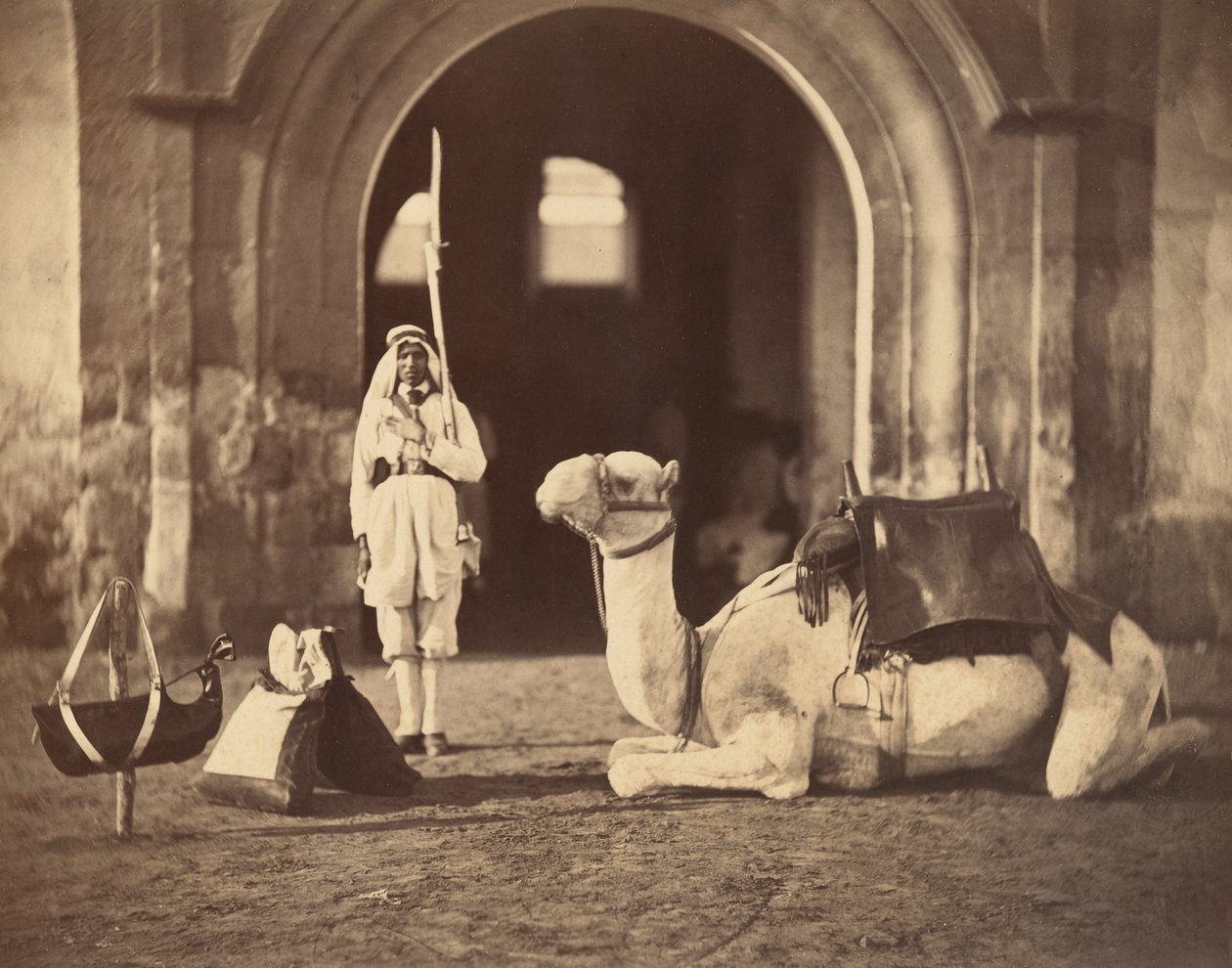 Camelo deitado, c.1866 (fotogravura) de Gustave Le Gray