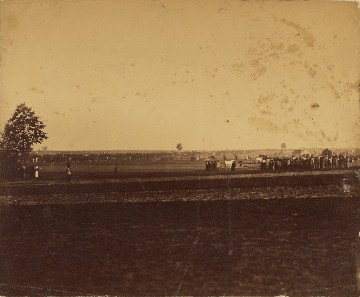 [Campo de Chalons] de Gustave Le Gray