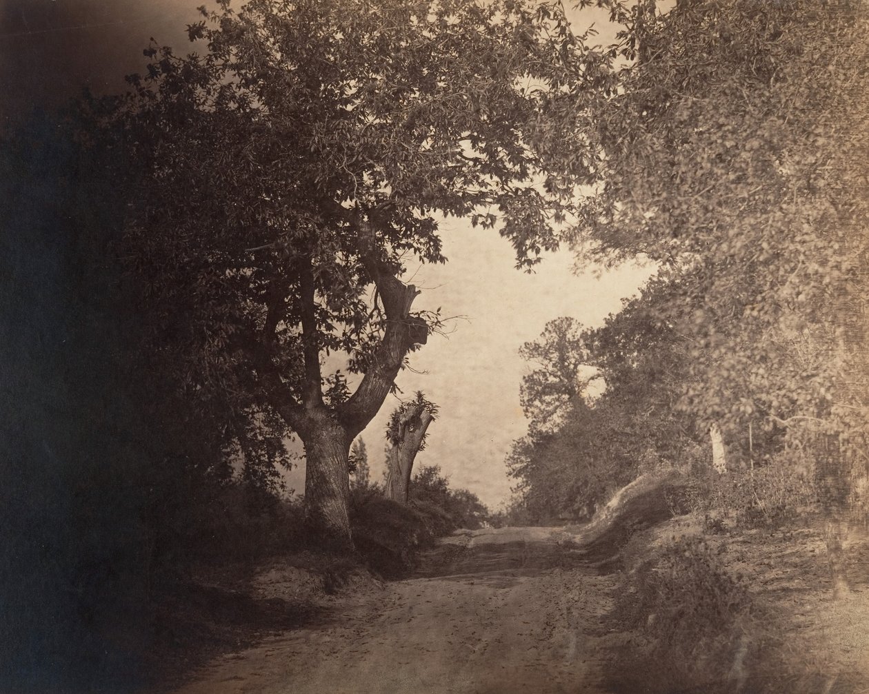 Fontainebleau, caminho arenoso para cima, ca. 1856. de Gustave Le Gray