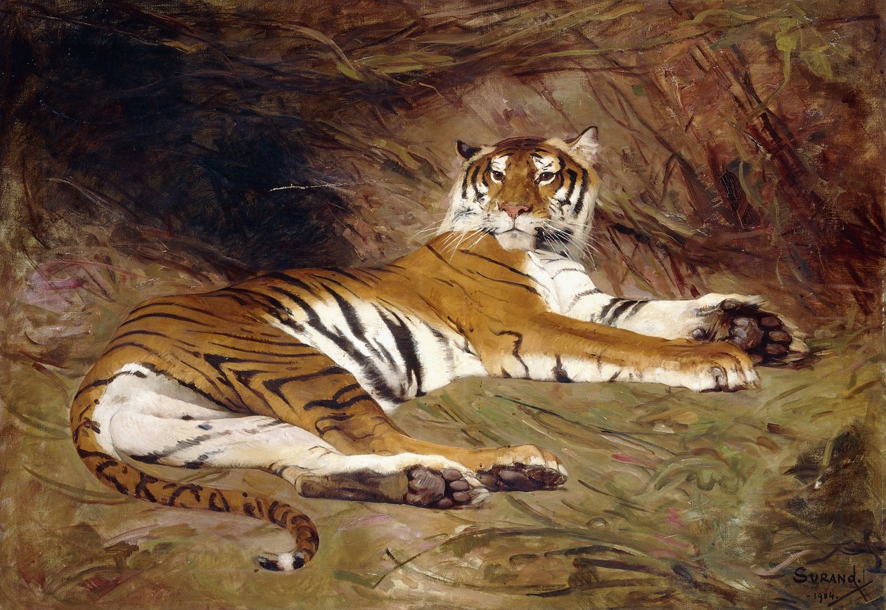 Um tigre reclinado de Gustave Surand