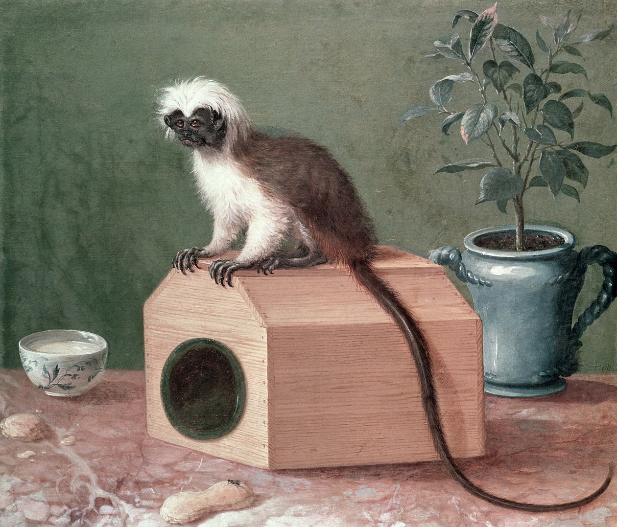O Macaco Favorito de Carl Linnaeus (1707-78) de Gustavus Hesselius