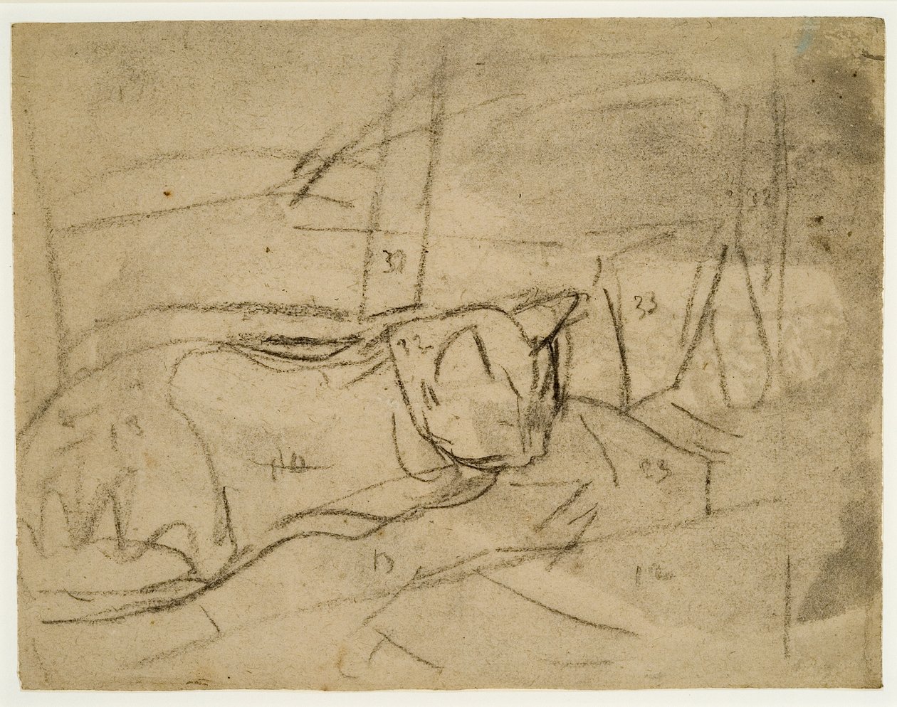 Estudos de gatos (carvão sobre papel) de Gwen John