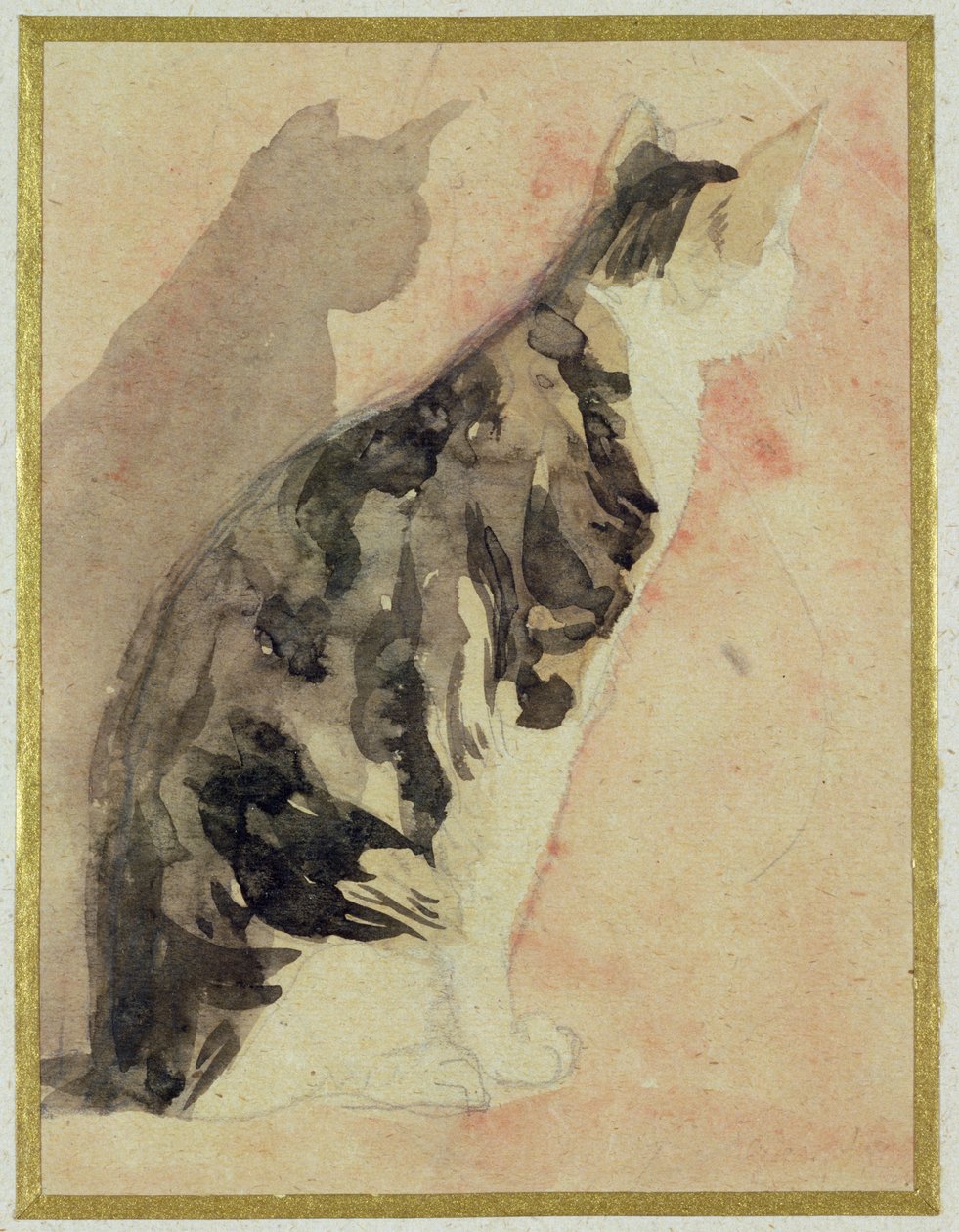 Estudo de um gato de Gwen John