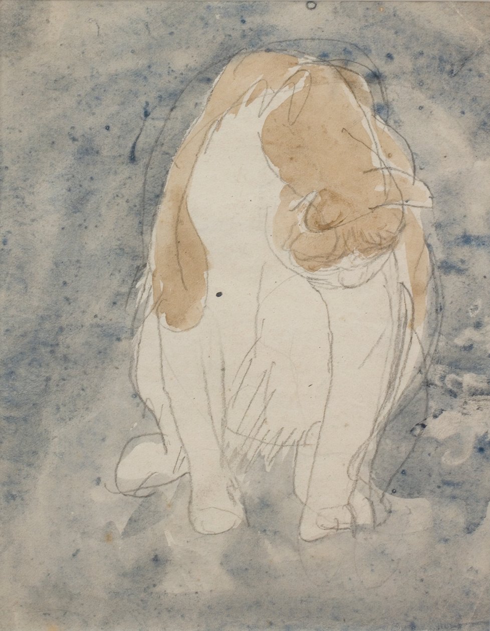 Estudo de um gato, c. 1910-20 (aguarela e lápis de grafite sobre papel) de Gwen John