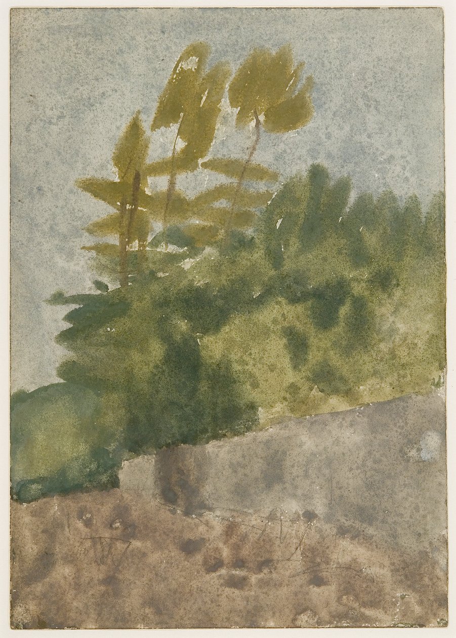 Árvores (aguarela, guache e lápis sobre papel) de Gwen John