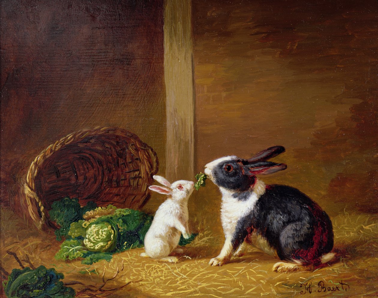 Dois coelhos de H. Baert
