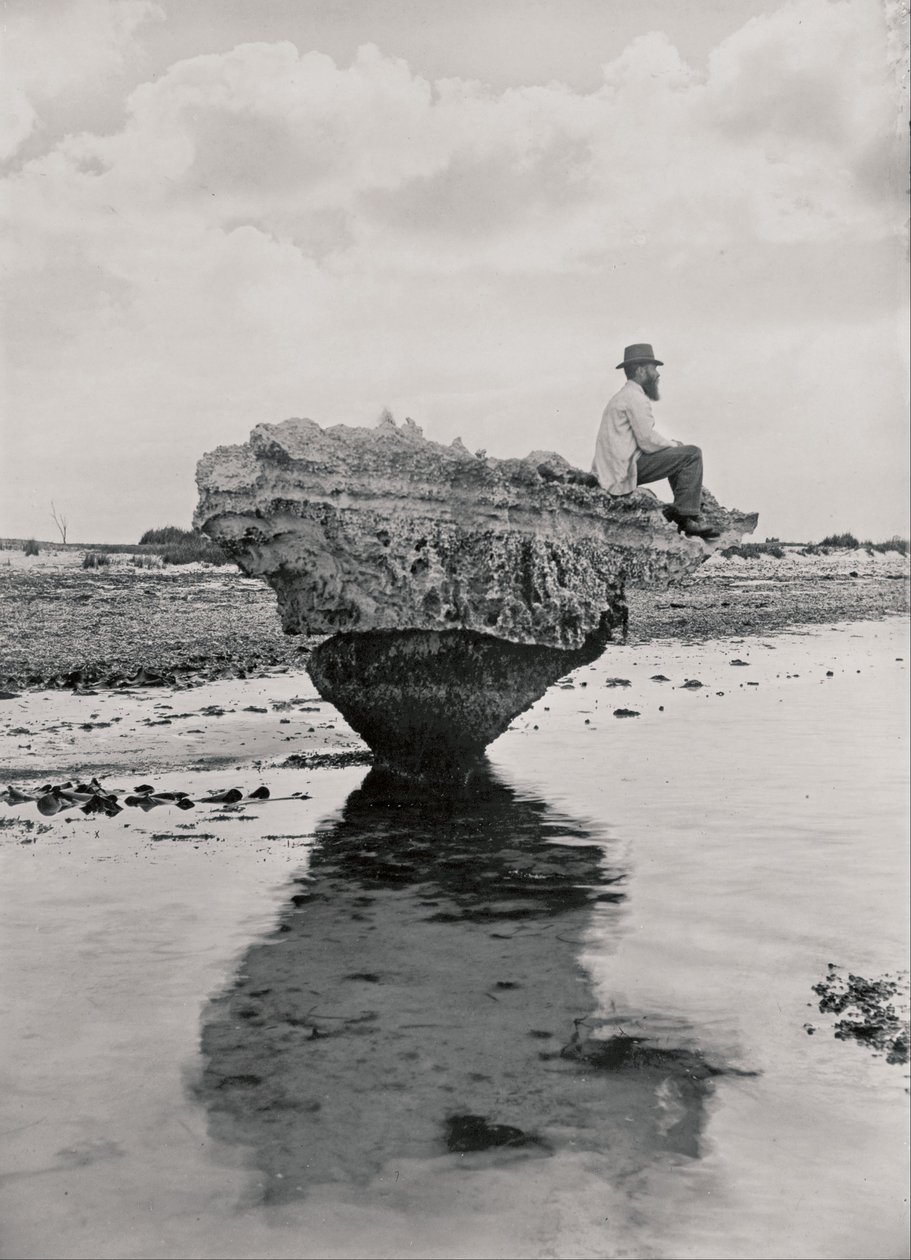 Espartilho Rock de H. H. Tilbrook