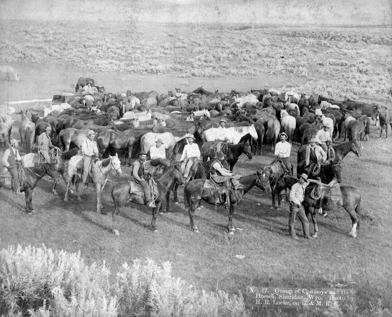 Grupo de vaqueiros e seus cavalos, Sheridan, Wyoming, c.1890 de H. R. Locke