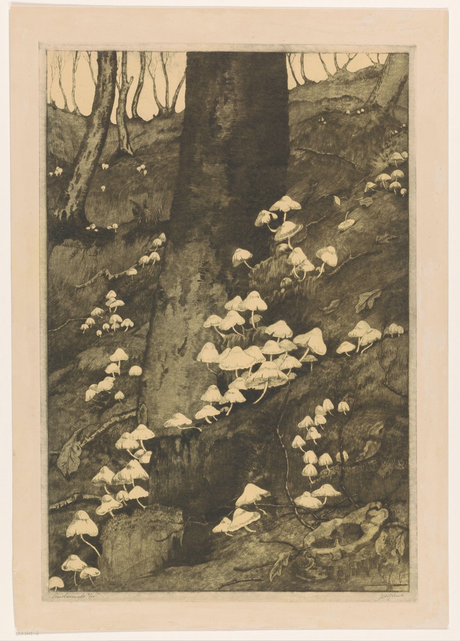 Cogumelos numa floresta
Outono (título original) de H.C. Spruit (signed by artist)