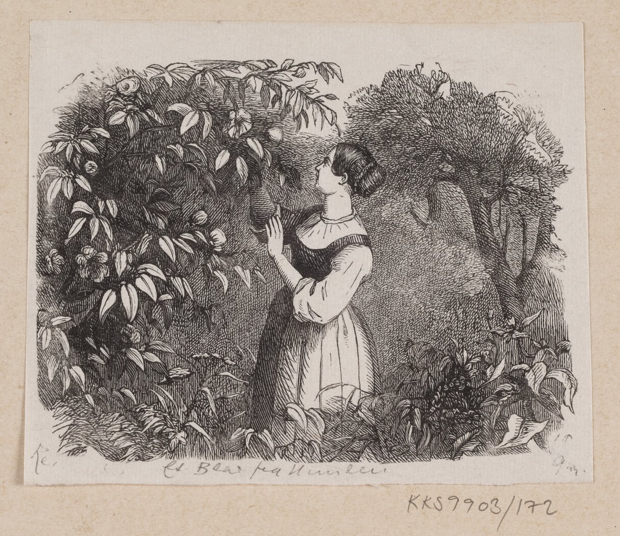 Ilustração para "A Leaf from Heaven" em H.C. Andersen, "Contos de fadas e histórias", Volume 2 de H.P. Hansen