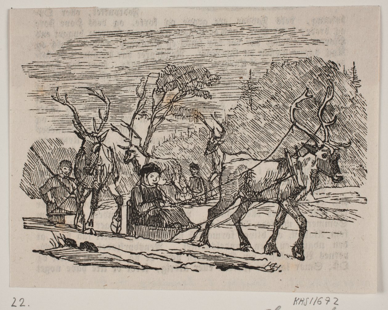 Passeio de trenó com renas de H. C. Henneberg
