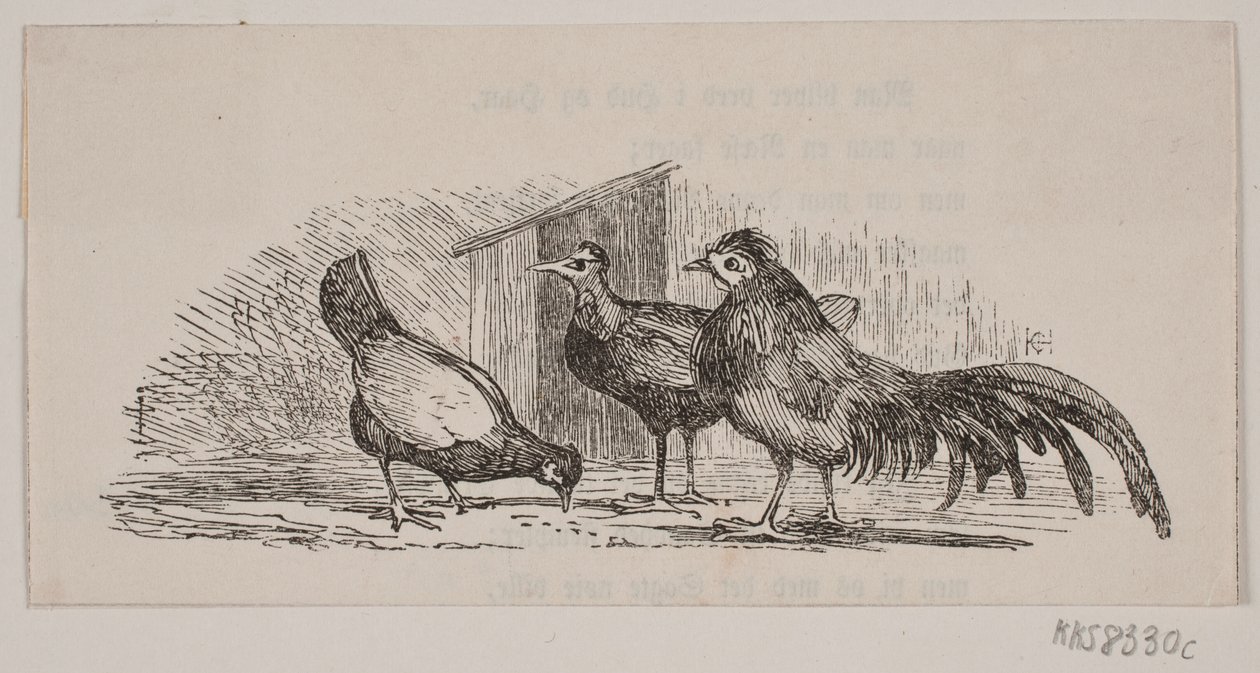 Três galinhas de H. C. Henneberg