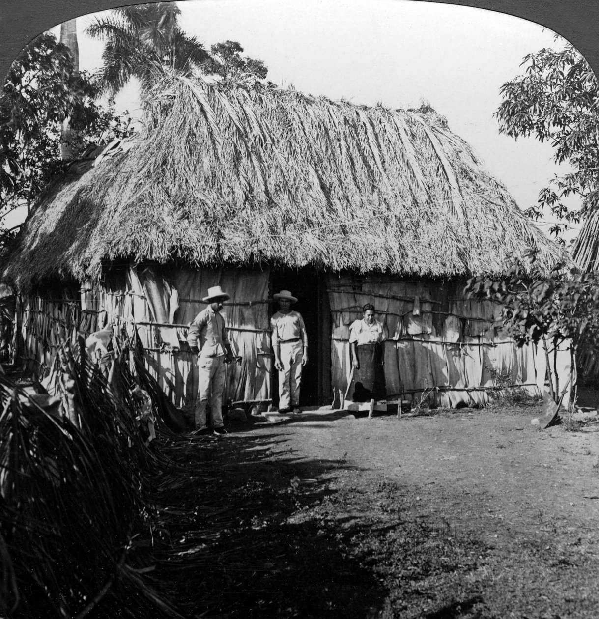 Uma casa no interior da ilha de Cuba. de H. C. White