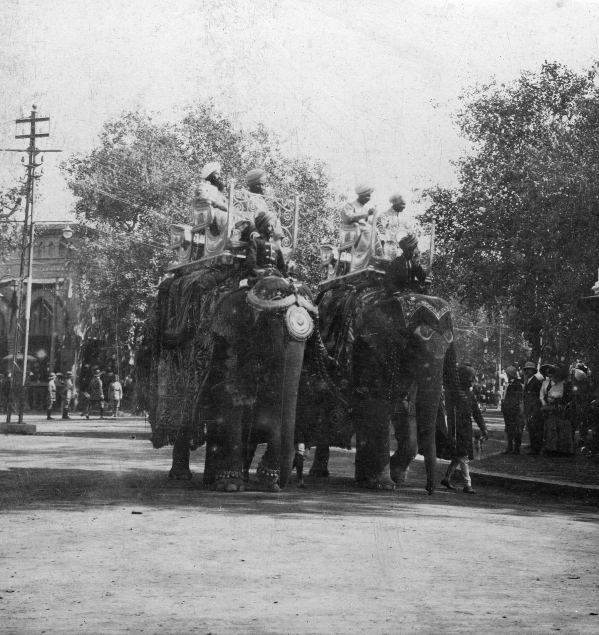 Uma princesa de Punjabi que monta um elefante em uma procissão, Deli, Índia, 1900s. de H. Hands and Son