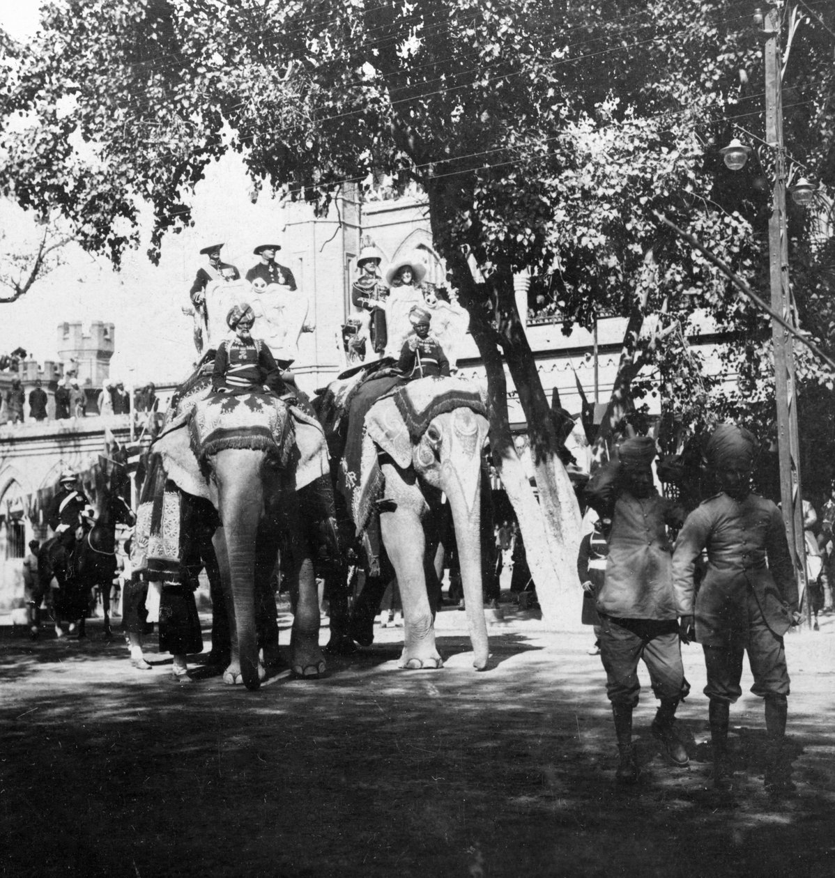 Funcionários do vice-rei e sua filha participando da procissão dos elefantes, Delhi, Índia, década de 1900. de H. Hands and Son