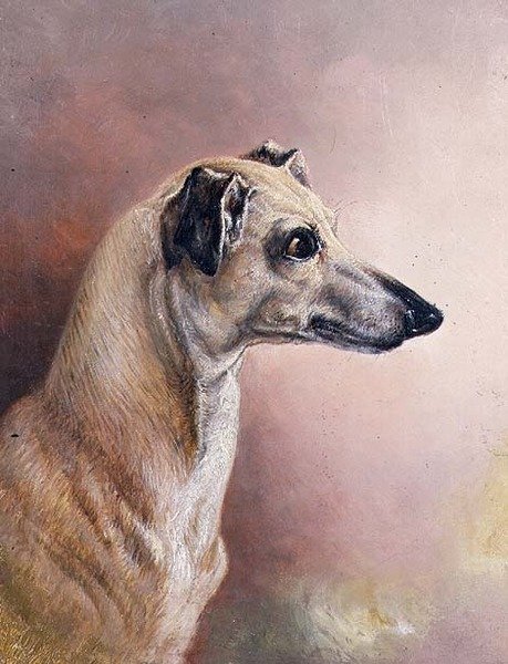 Cabeça de um Greyhound (painel) de H. Morley Park