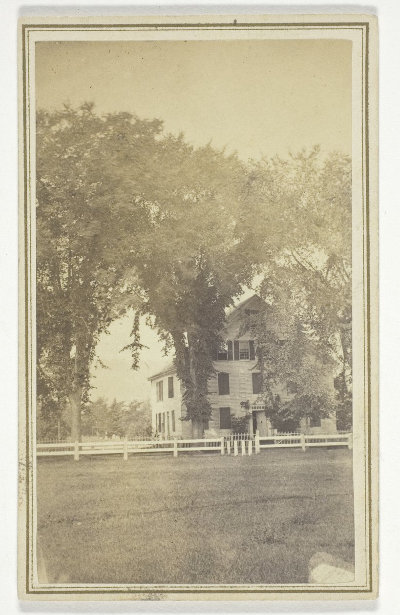 A casa de Miss Brown e o curioso cruzamento de olmos. de H. O. Bly