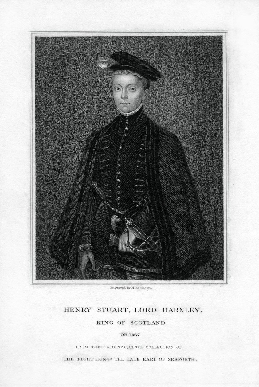 Henry Stuart, lorde Darnley, segundo marido de Maria, rainha da Escócia, século XIX. de H. Robinson
