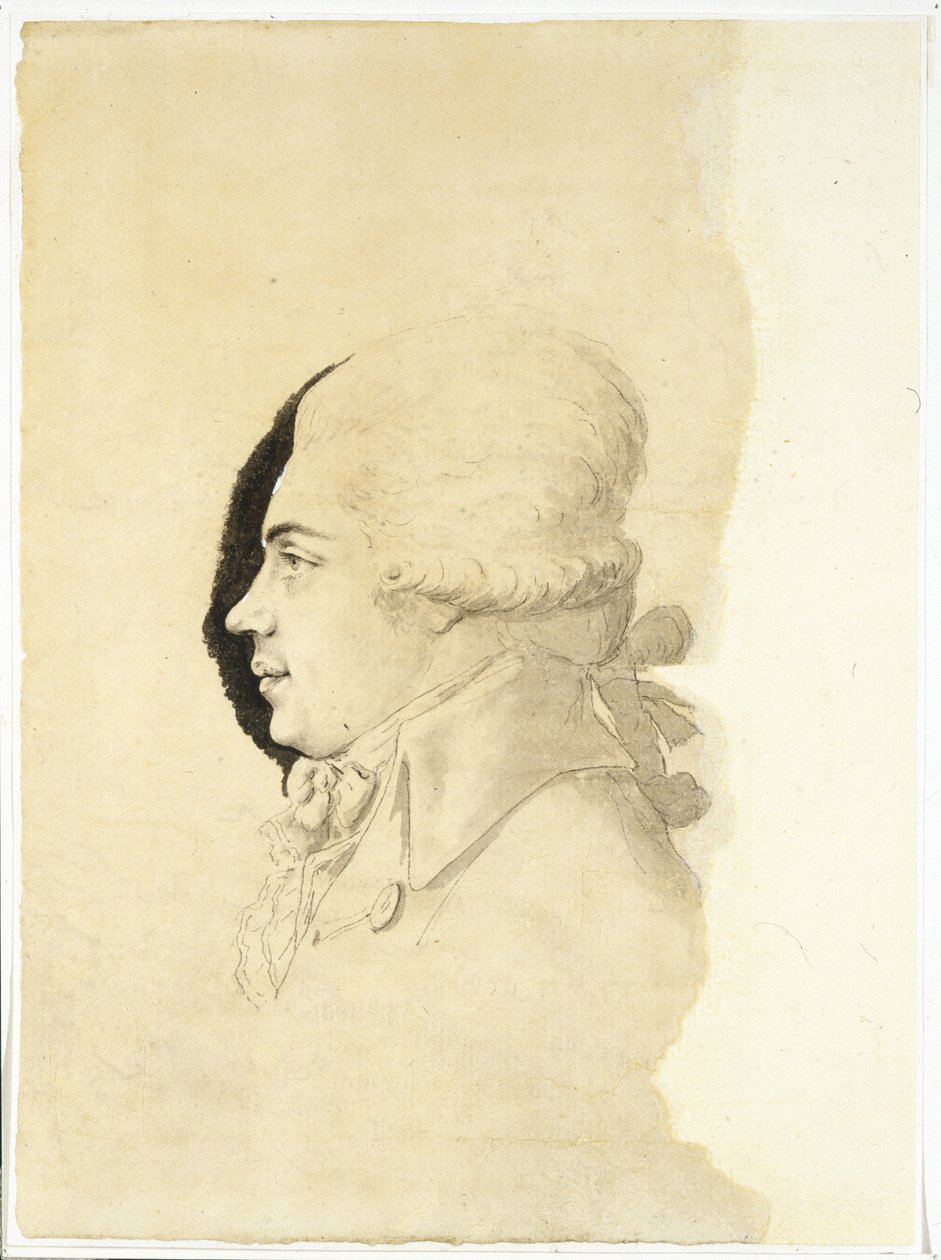 Retrato do Conde Nikolai Petrovich Rumyantsev 1754-1826, final da década de 1780 de Haacke